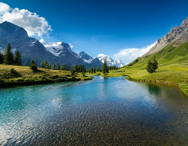 Où pratiquer le snorkeling au milieu des raies manta à Hawaii ?